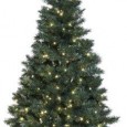Finns det julgransbelysning med LED-lampor att köpa? Detta blev den logiska följdfrågan, efter att tidigare ha svarat på om det finns adventsljusstake med LED. Jo, det finns t.ex. denna julgransbelysning...
